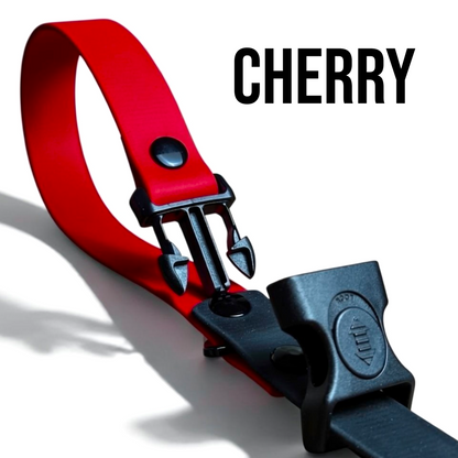 Sport Collection Leashes