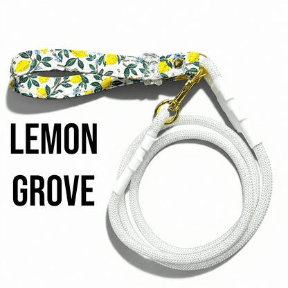 Classic Collection Leashes
