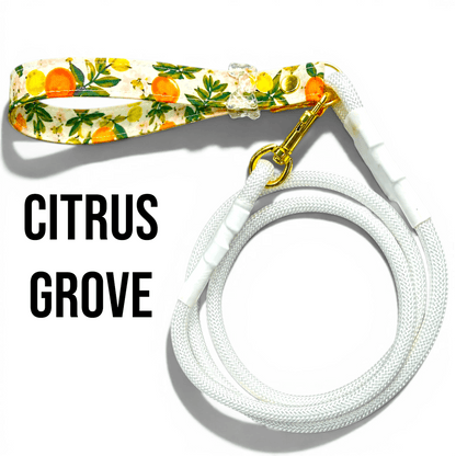 Classic Collection Leashes