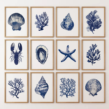 Bundle Coral, Shell, Lobster Wall Art. Set of 12 Artwork