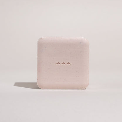 Coconut Bikini Bar Soap