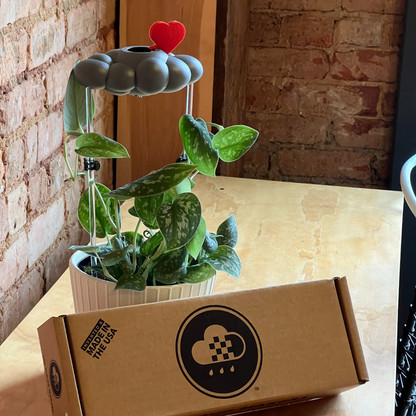 Stormy Dripping Rain Cloud with Red Heart Charm