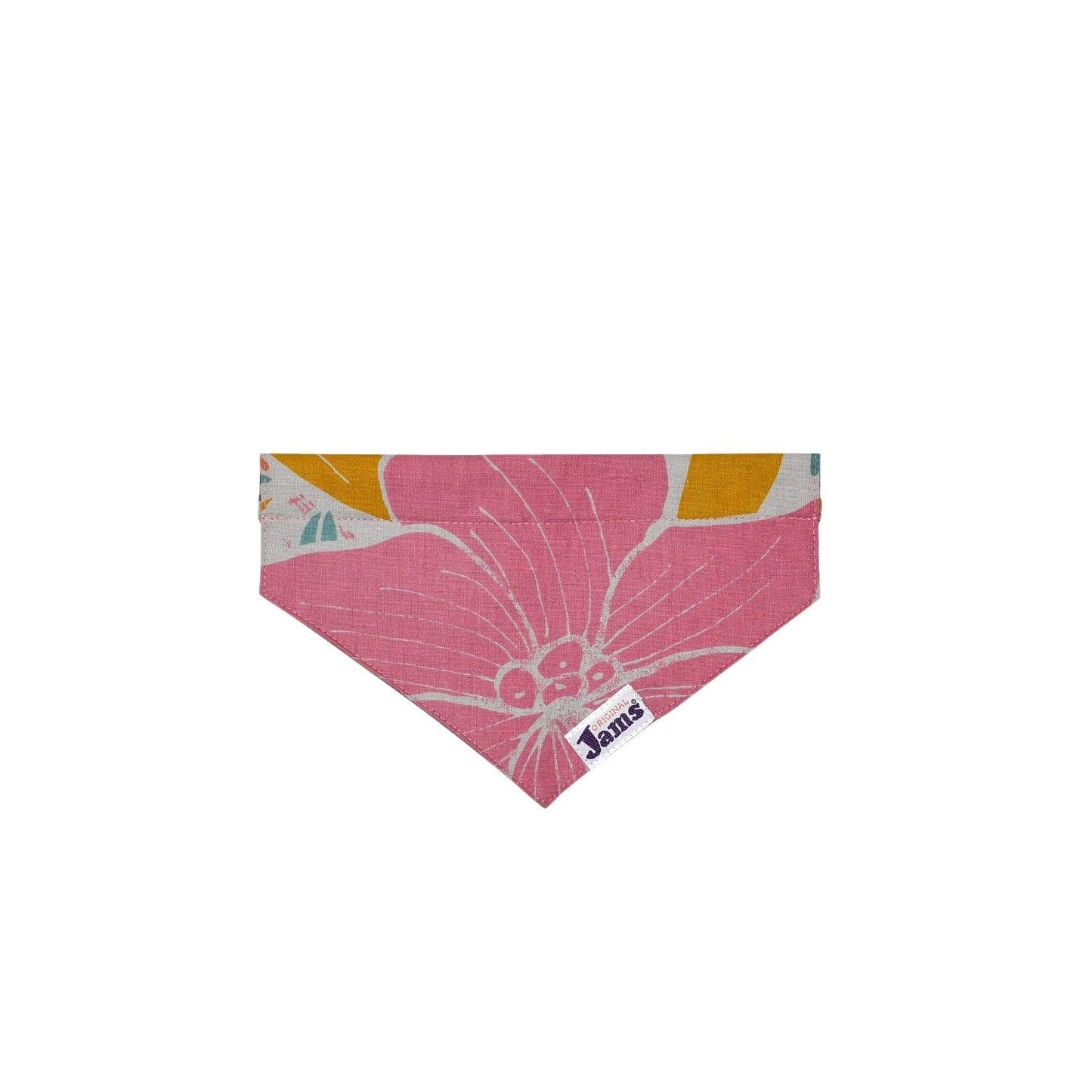 Pet Collar Scarf - Jams Dwarfana Natural & Dragon Fly Orange