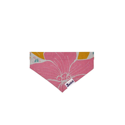 Pet Collar Scarf - Jams Dwarfana Natural & Dragon Fly Orange