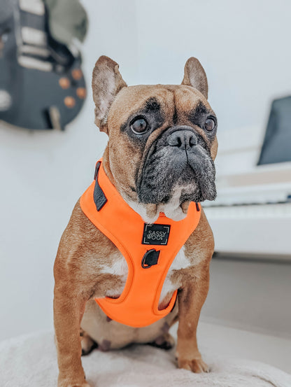 Dog Adjustable Harness - Neon Orange