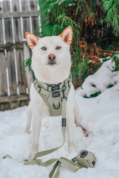 Dog Collar - Matcha