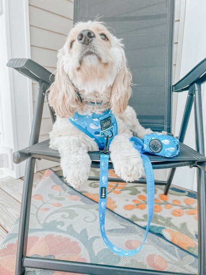 Dog Collar - Might as Whale