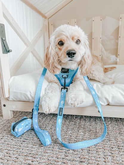 Dog Leash - Might as Whale