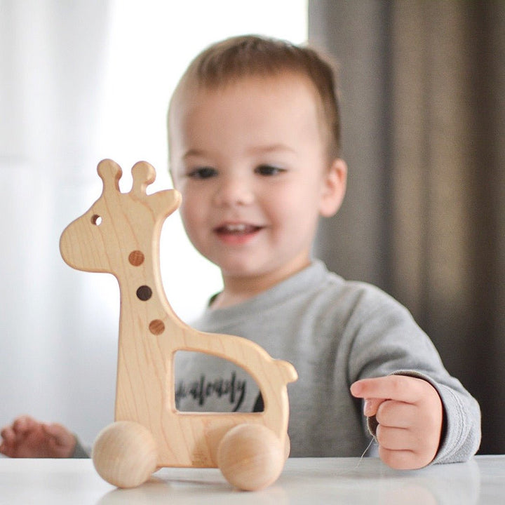 Giraffe Push Toy
