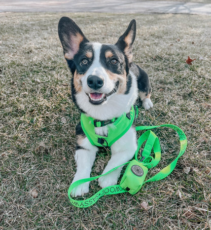 Dog Adjustable Harness - Neon Green