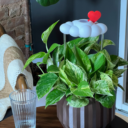 Original Dripping Rain Cloud with Red Heart Charm