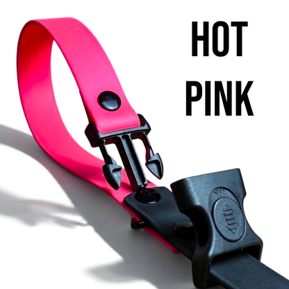 Sport Collection Leashes