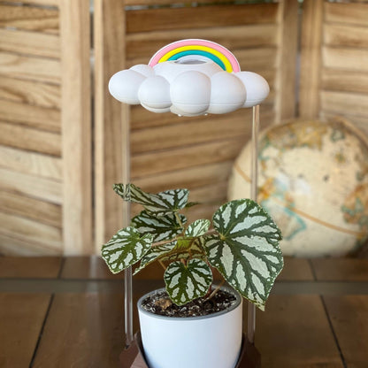 Original Dripping Rain Cloud with Pastel Rainbow Charm