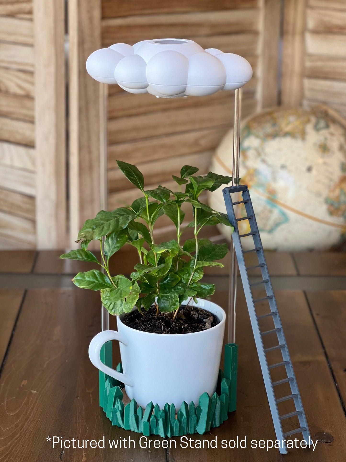 Original Dripping Rain Cloud with Ladder Charm