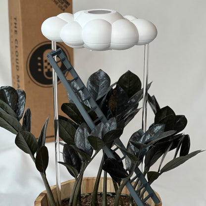 Original Dripping Rain Cloud with Ladder Charm