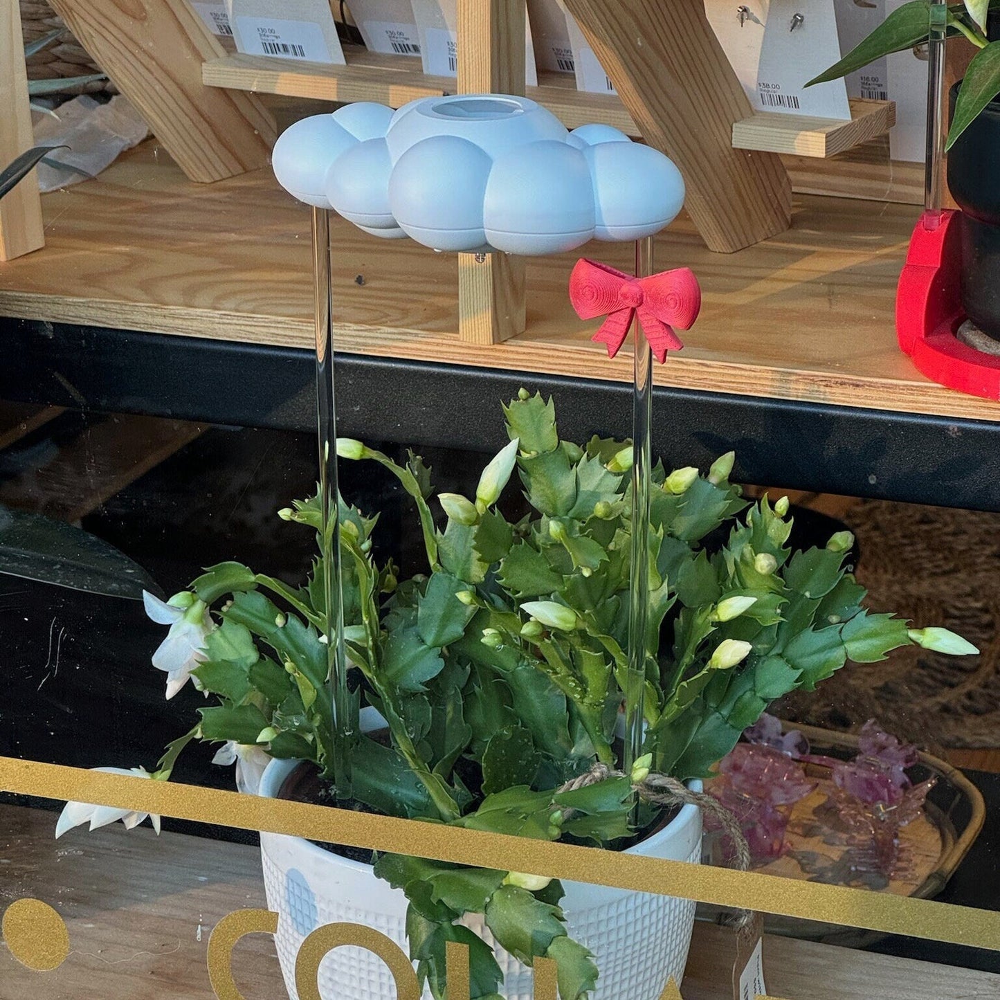 Original Dripping Rain Cloud with Bow Charm