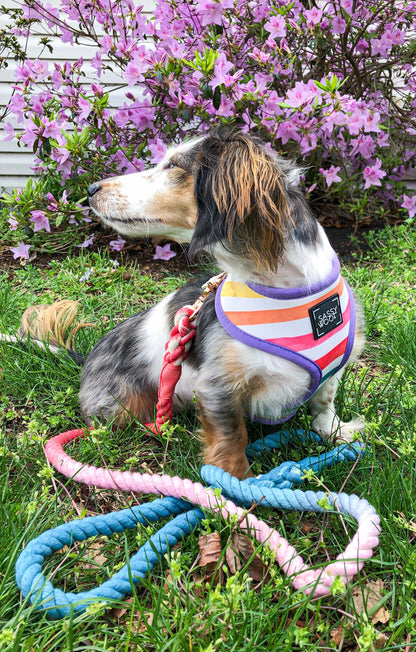 Dog Rope Leash - Jack & Jill