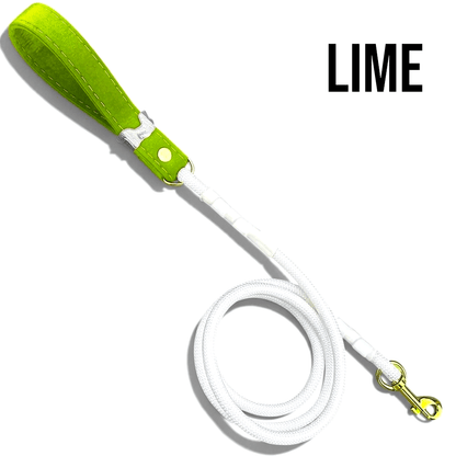 Luxe Collection Leashes