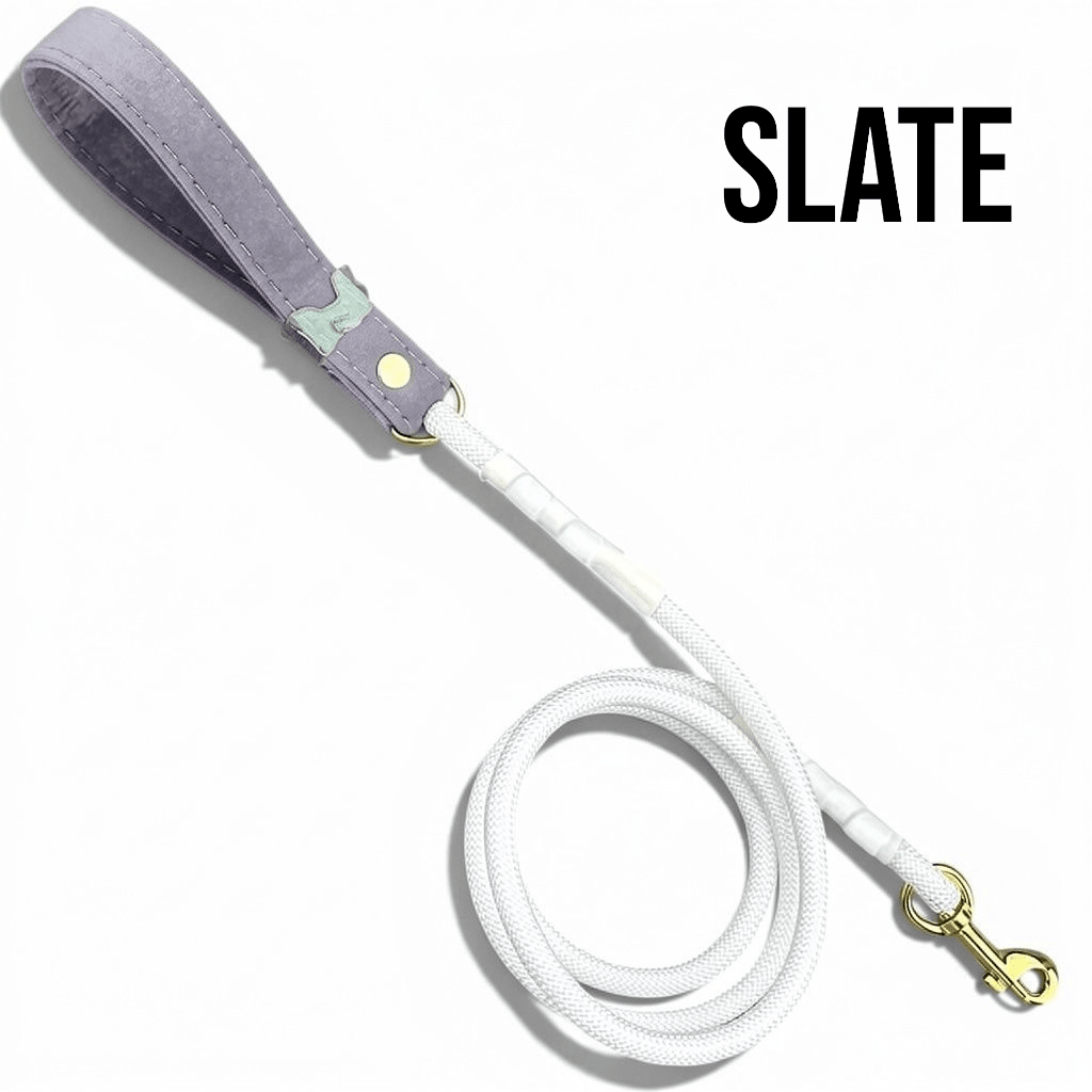 Luxe Collection Leashes