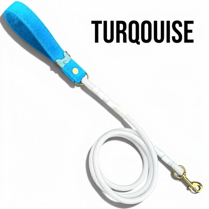 Luxe Collection Leashes