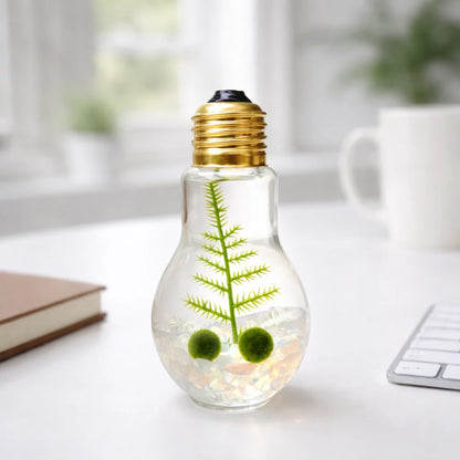 Light Bulb Terrarium with Nano Marimo Moss Ball Pet