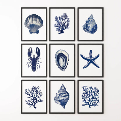 Set of 9 Coastal Prints. Lobster, Starfish, Seaweed, Shell