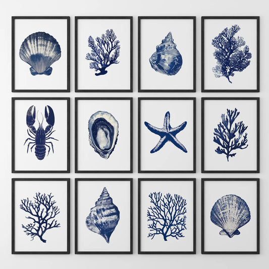 Bundle Coral, Shell, Lobster Wall Art. Set of 12 Artwork