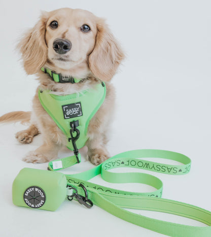 Dog Collar - Neon Green