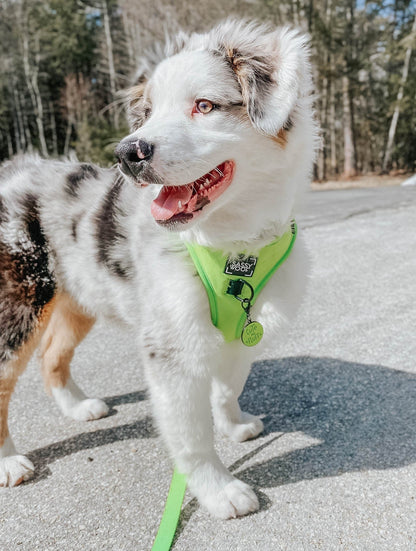 Dog Adjustable Harness - Neon Green