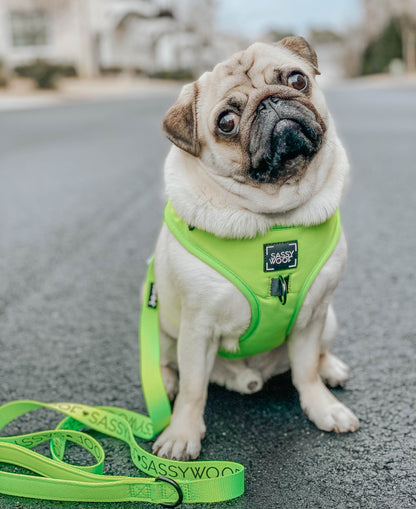 Dog Adjustable Harness - Neon Green