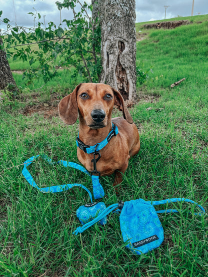 Dog Collar - Tropical Tides