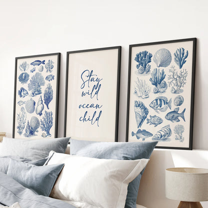 Coastal Sea Life Prints. Blue Sea Shells and Fish Print Set