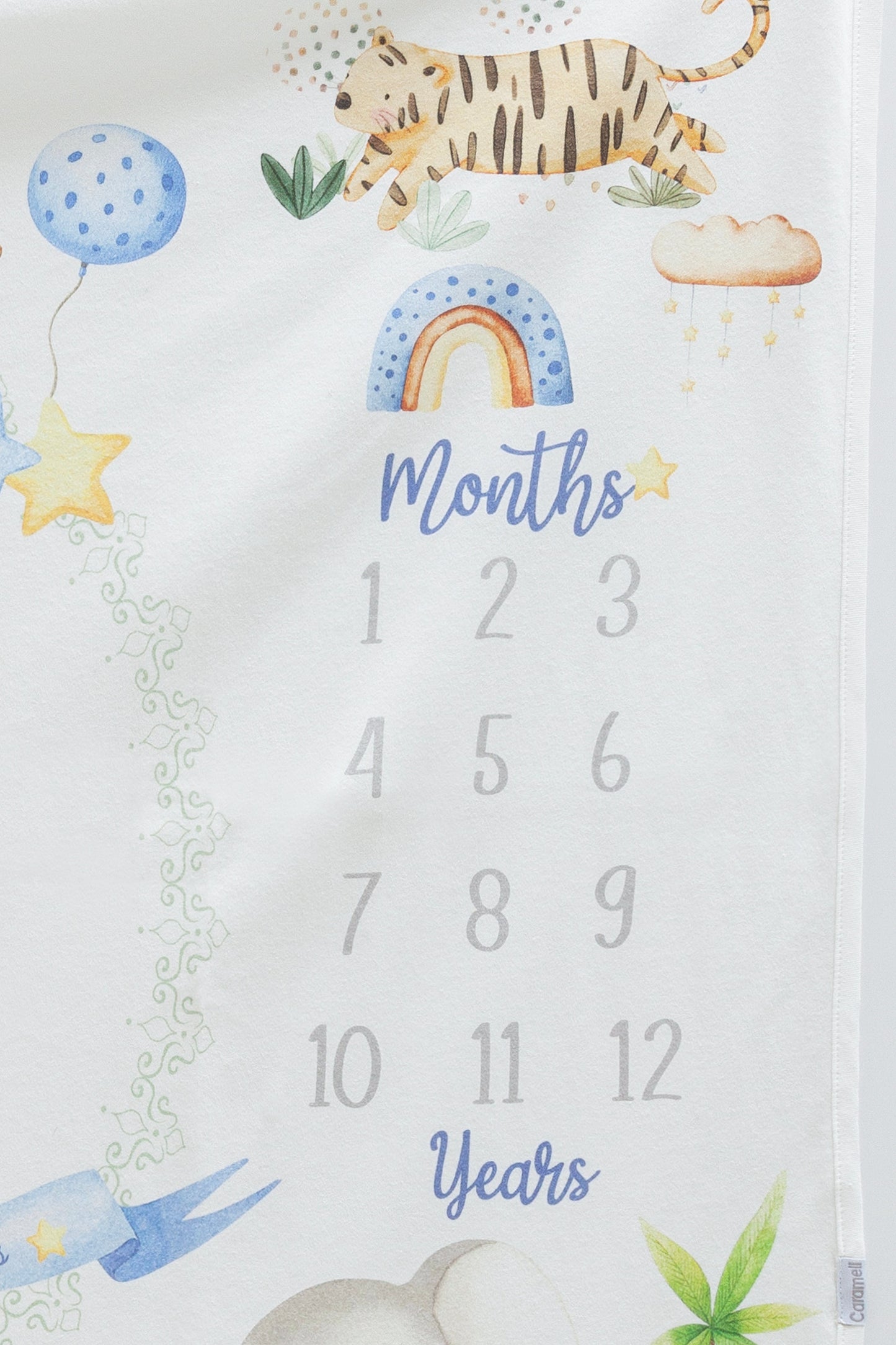 Safari Milestone Blanket