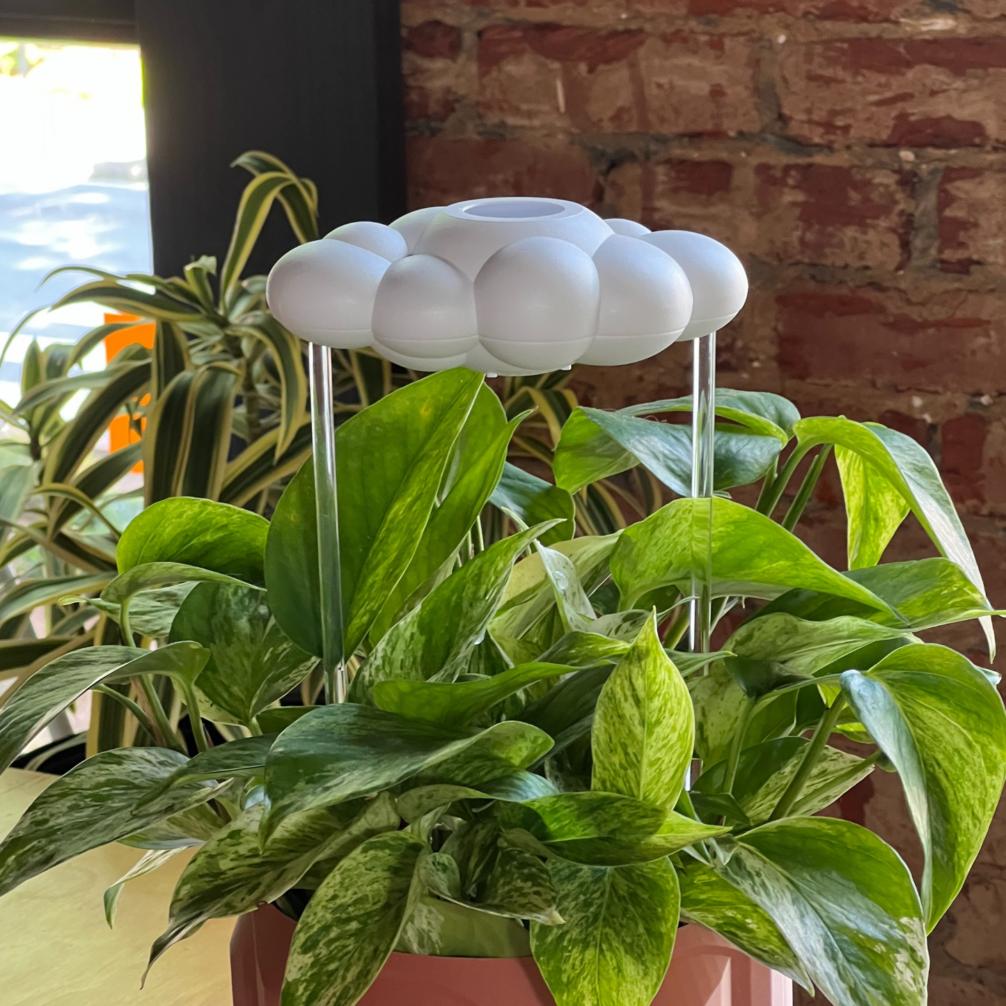 Original Dripping Rain Cloud