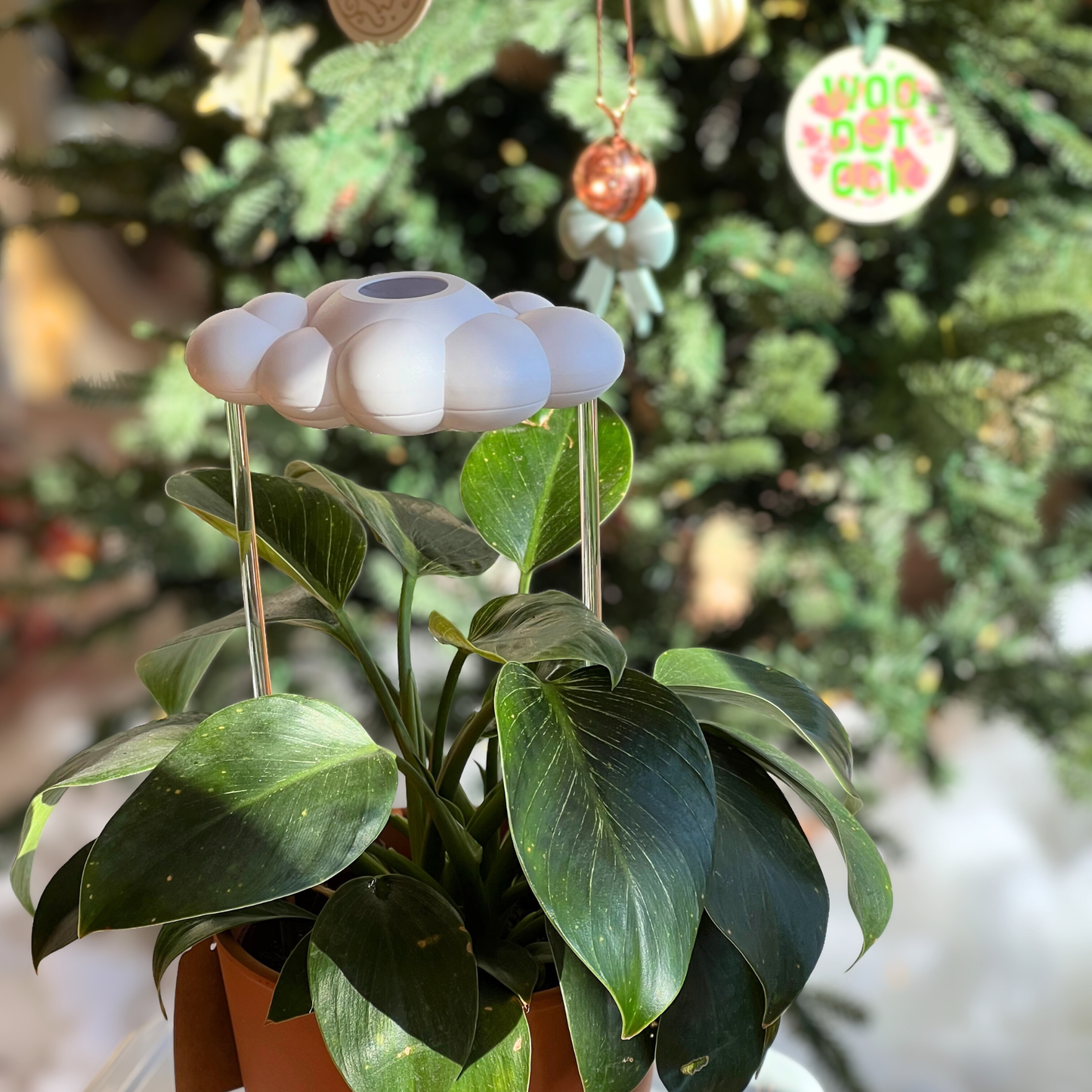 Original Dripping Rain Cloud