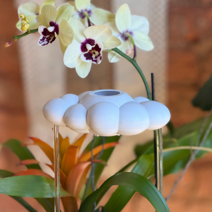 Original Dripping Rain Cloud