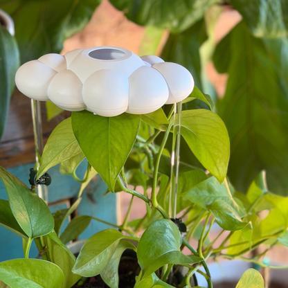 Original Dripping Rain Cloud