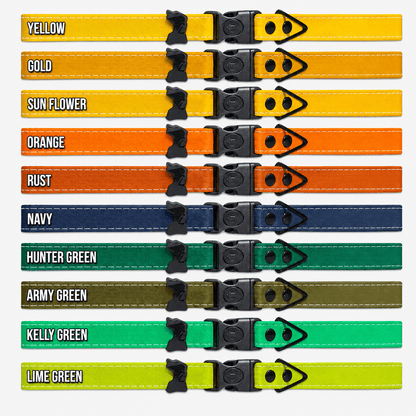 Hands-Free LED Belt Leash