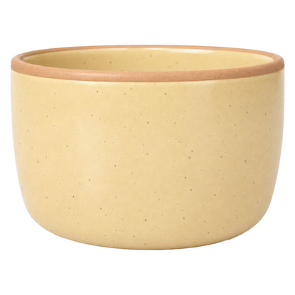 Solid Dish Soap Jar & Brush
