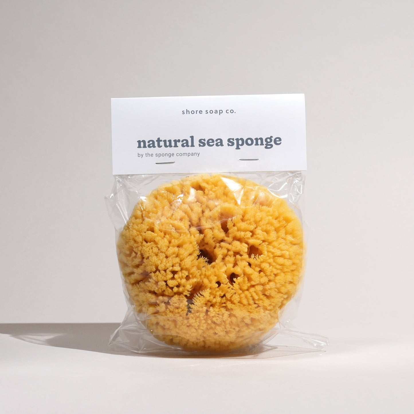 Natural Sea Sponge
