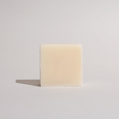 Shoreline Fizz Bar Soap