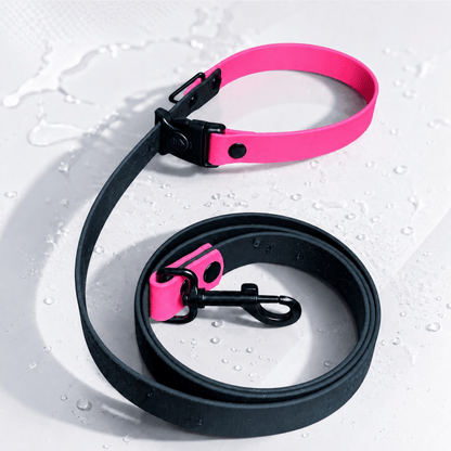 Sport Collection Leashes