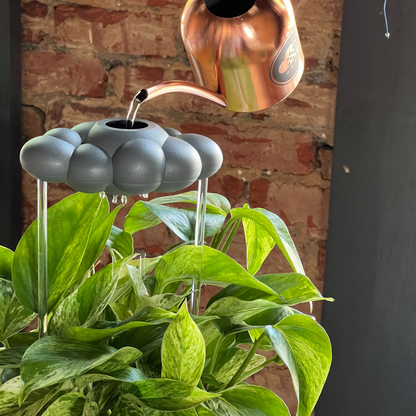 Stormy Dripping Rain Cloud