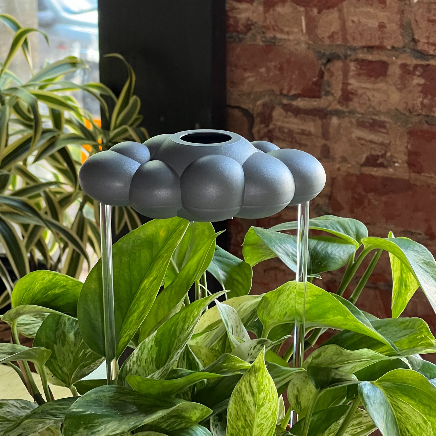 Stormy Dripping Rain Cloud