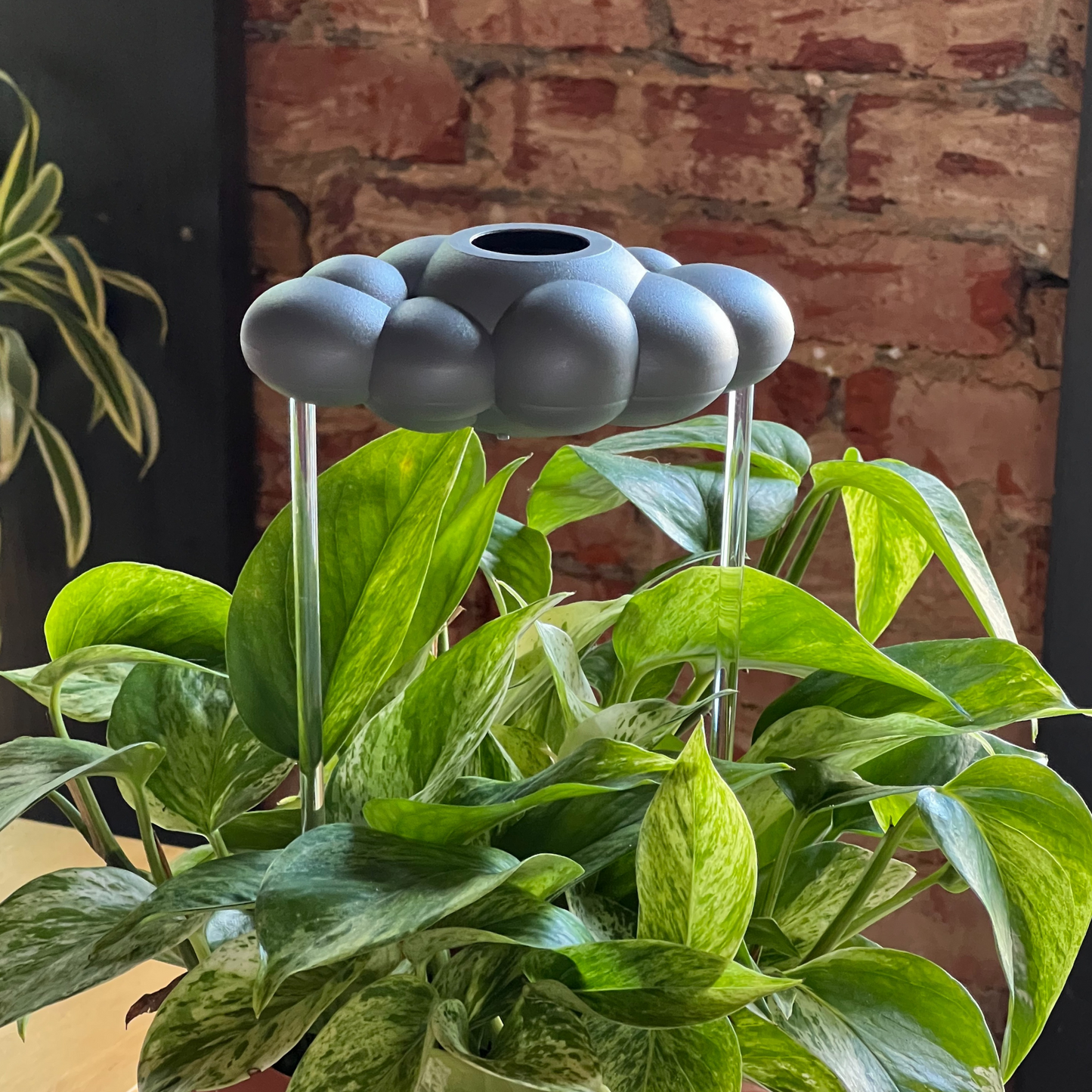 Stormy Dripping Rain Cloud