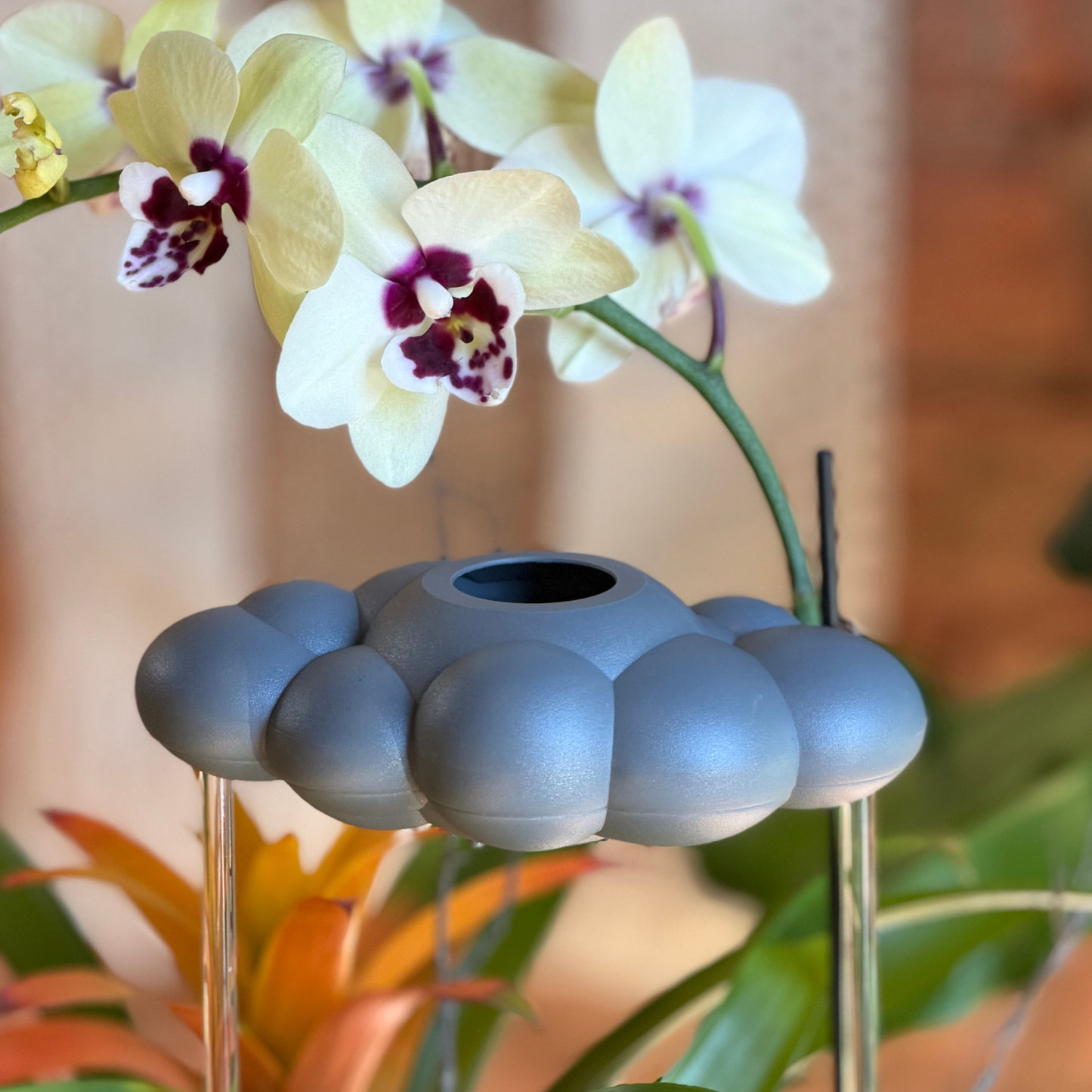 Stormy Dripping Rain Cloud