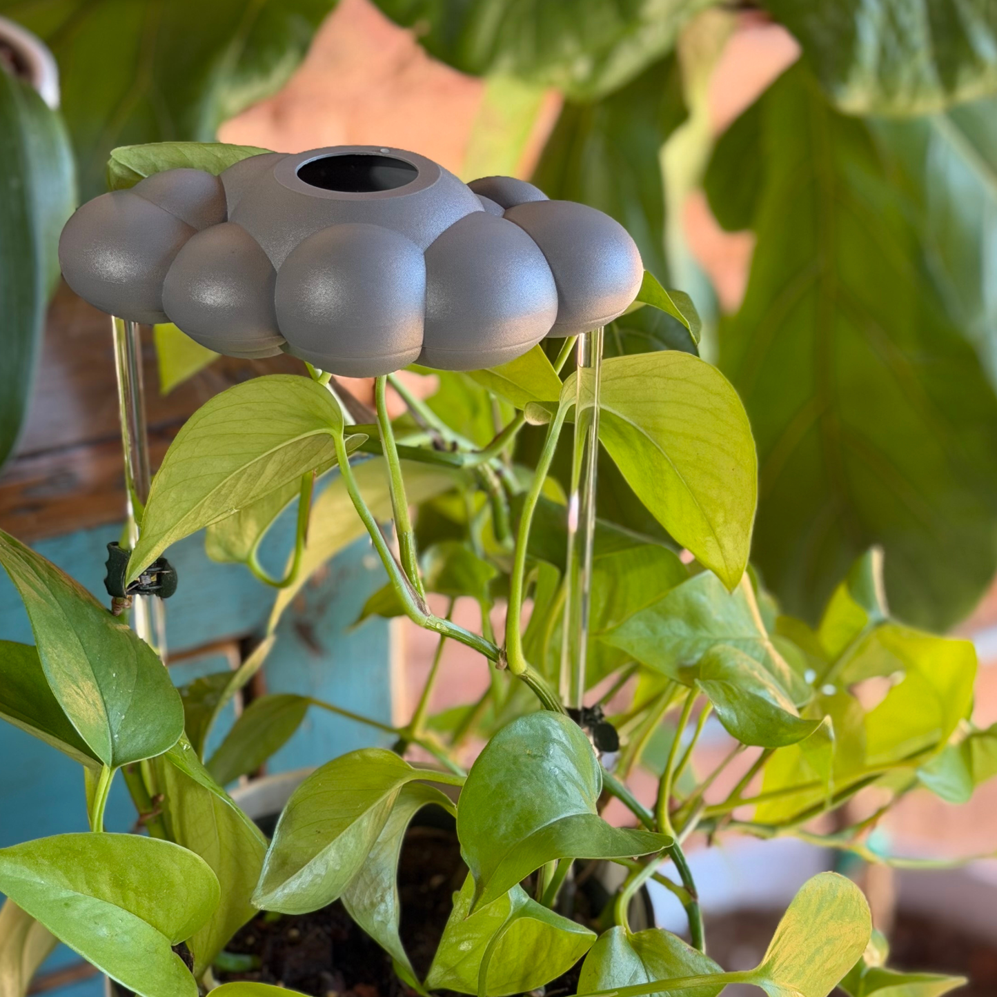 Stormy Dripping Rain Cloud