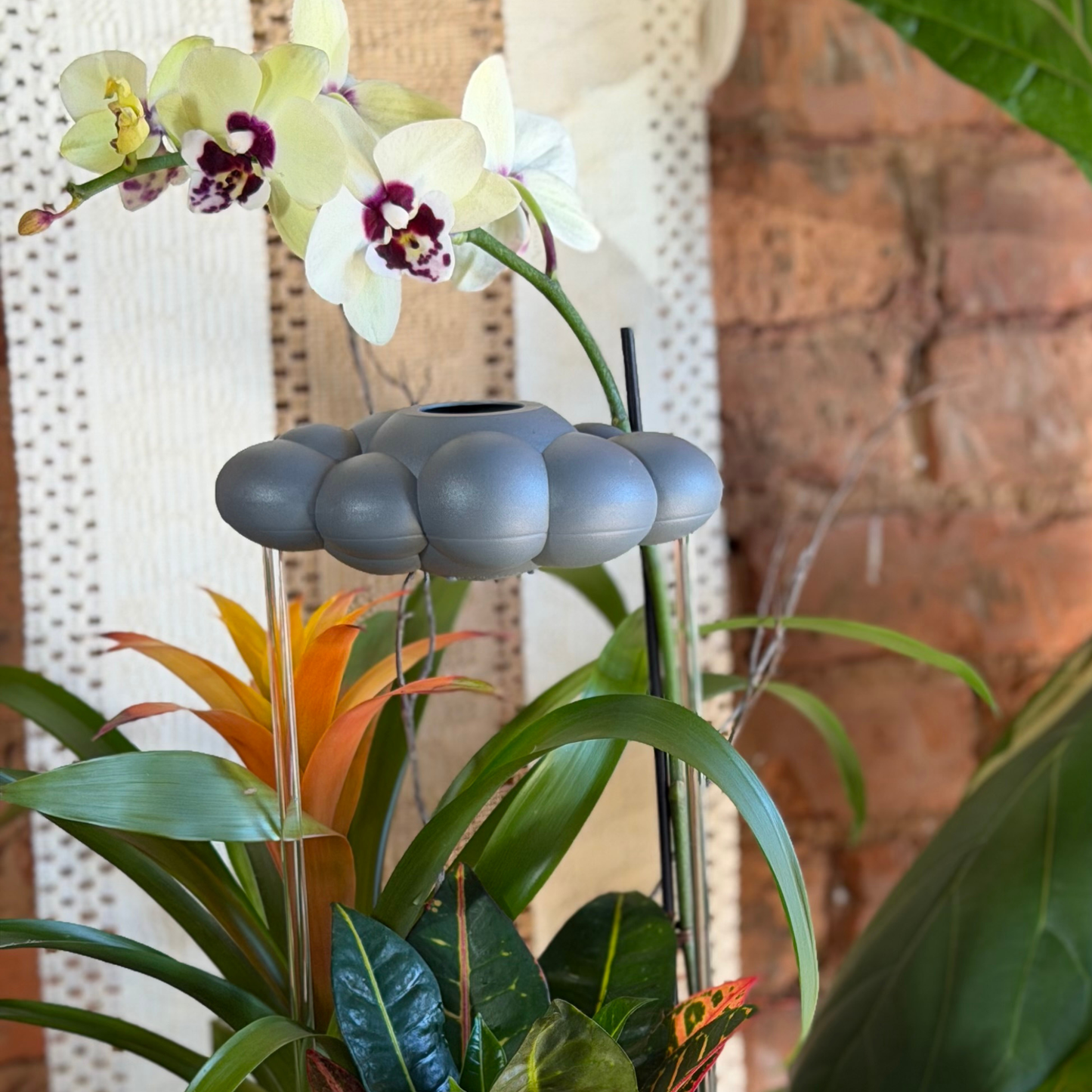 Stormy Dripping Rain Cloud