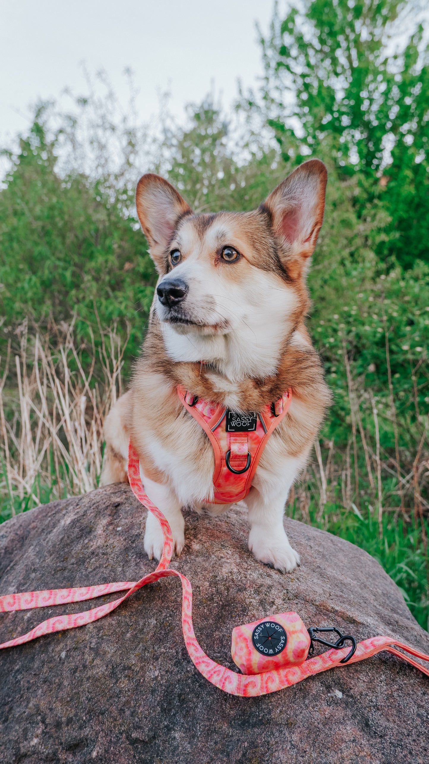 Dog Step-in Harness - Summer Sorbet