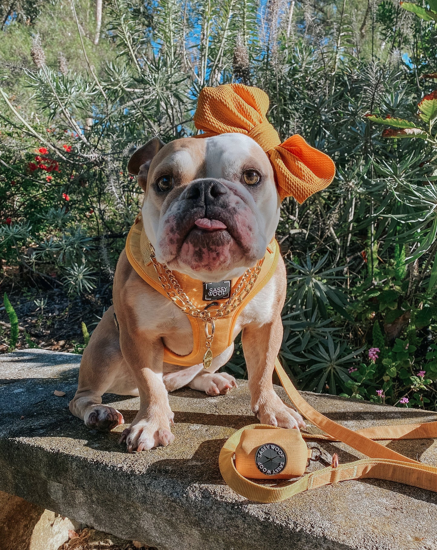 Dog Adjustable Harness - Sunflower Fields